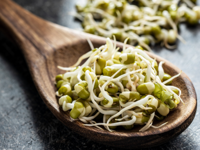 The Sprouting Test: Organic vs. Conventional Lentils