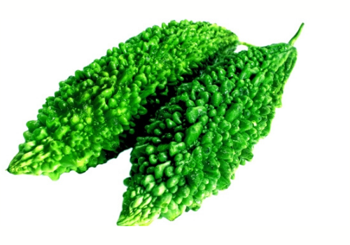 Karela Juice Gets Thumps Up from Scientists