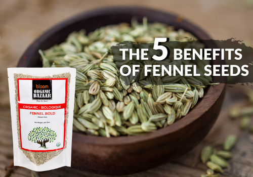 The 5 Benefits of Fennel Seeds
