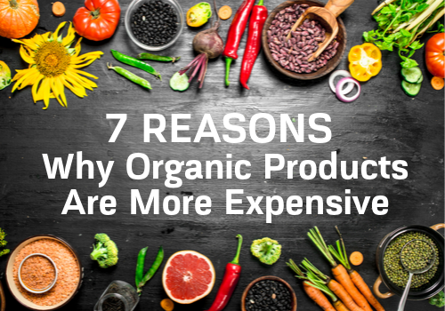 7 Reasons Why Organic Products Are More Expensive?