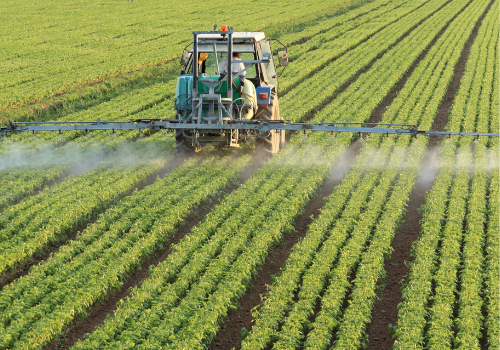 In 60 Years, the Earth Will Have Lost All Its Farmable Land