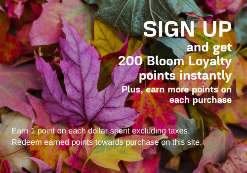 Earn Bloom Loyalty Points on Every Purchase