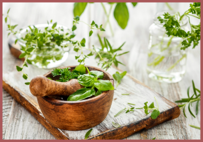 Herbs to Boost Liver Function and Flush Toxins