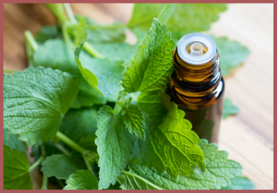 Top Natural Remedies for Insomnia