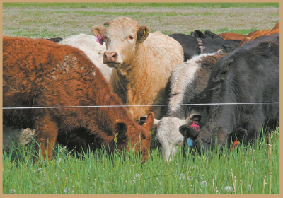 Feds fund climate change initiatives for agriculture