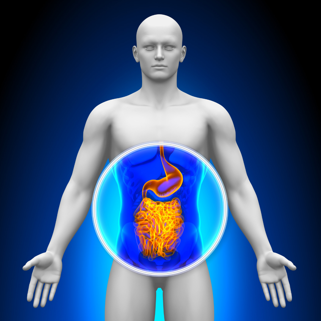 Can Pesticides Cause Damage Our Gut Biome?