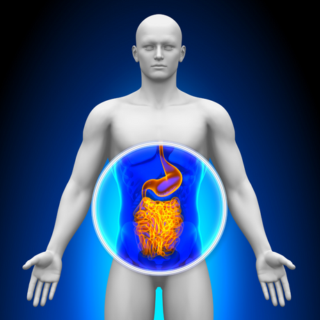 Can Pesticides Cause Damage Our Gut Biome?