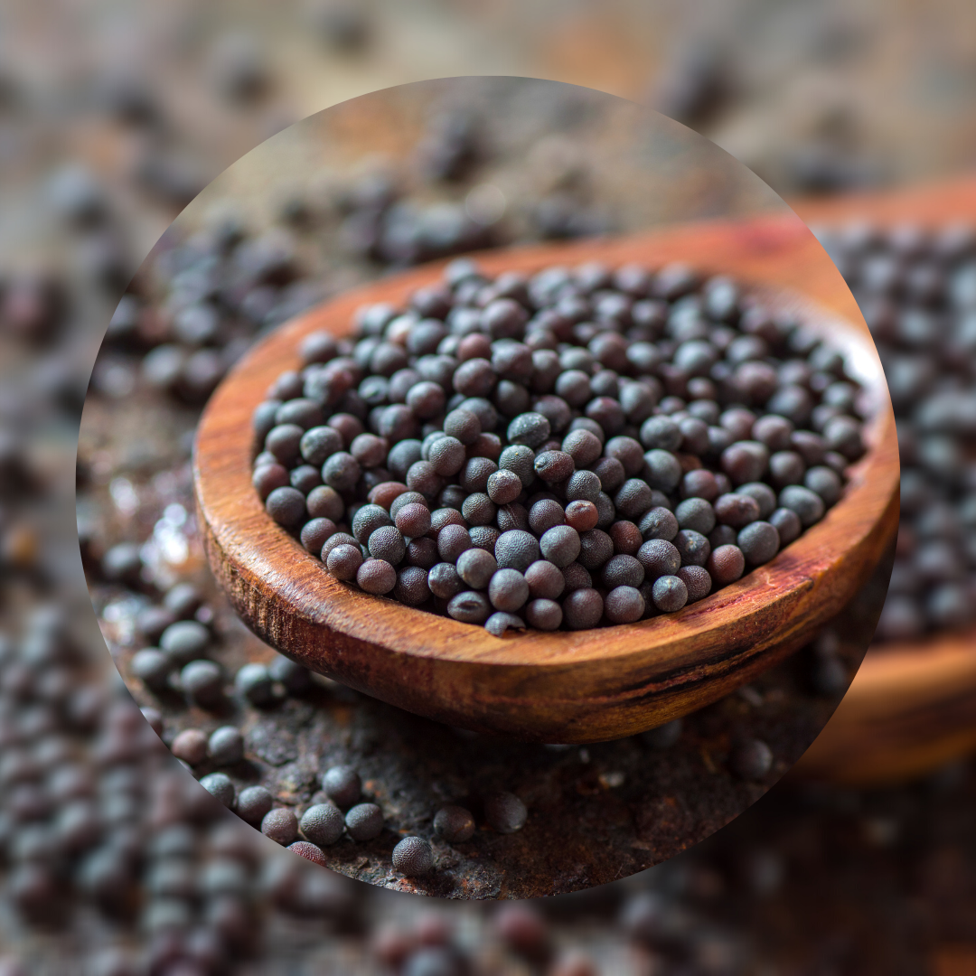 Bloom Organic Mustard Seeds 200gms