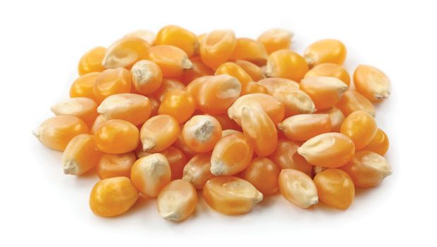 Yupik Organic Popcorn 1 Kg